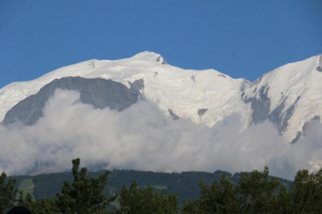 Гостиница Mobil Home Chamonix Mont Blanc, Паси